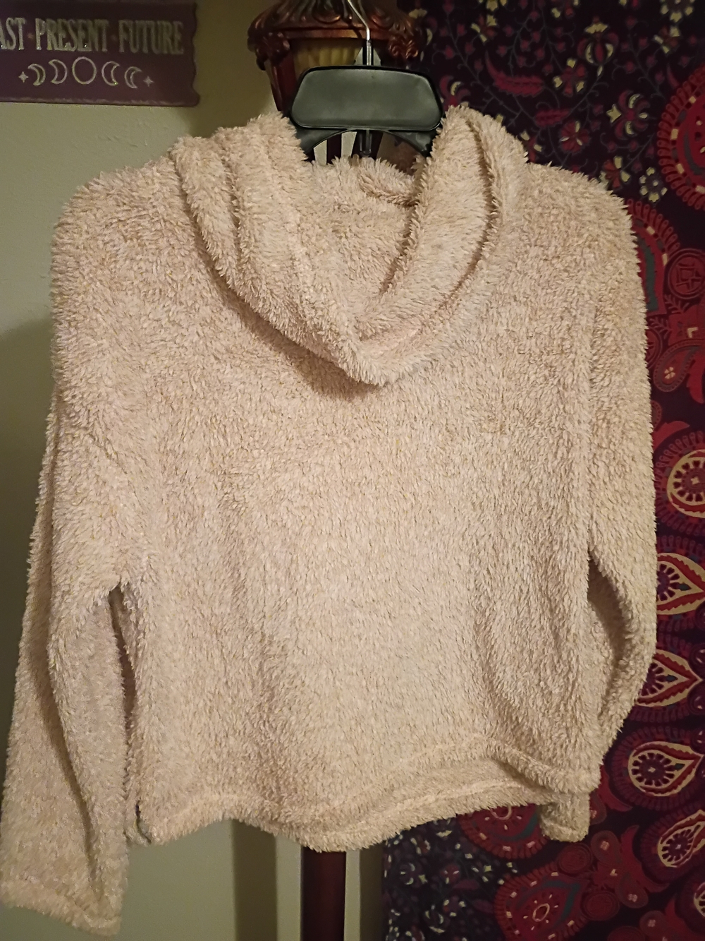 Cozy Plush Hooded Sweater - Cream